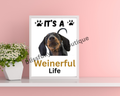 It’s A Weinerful Life