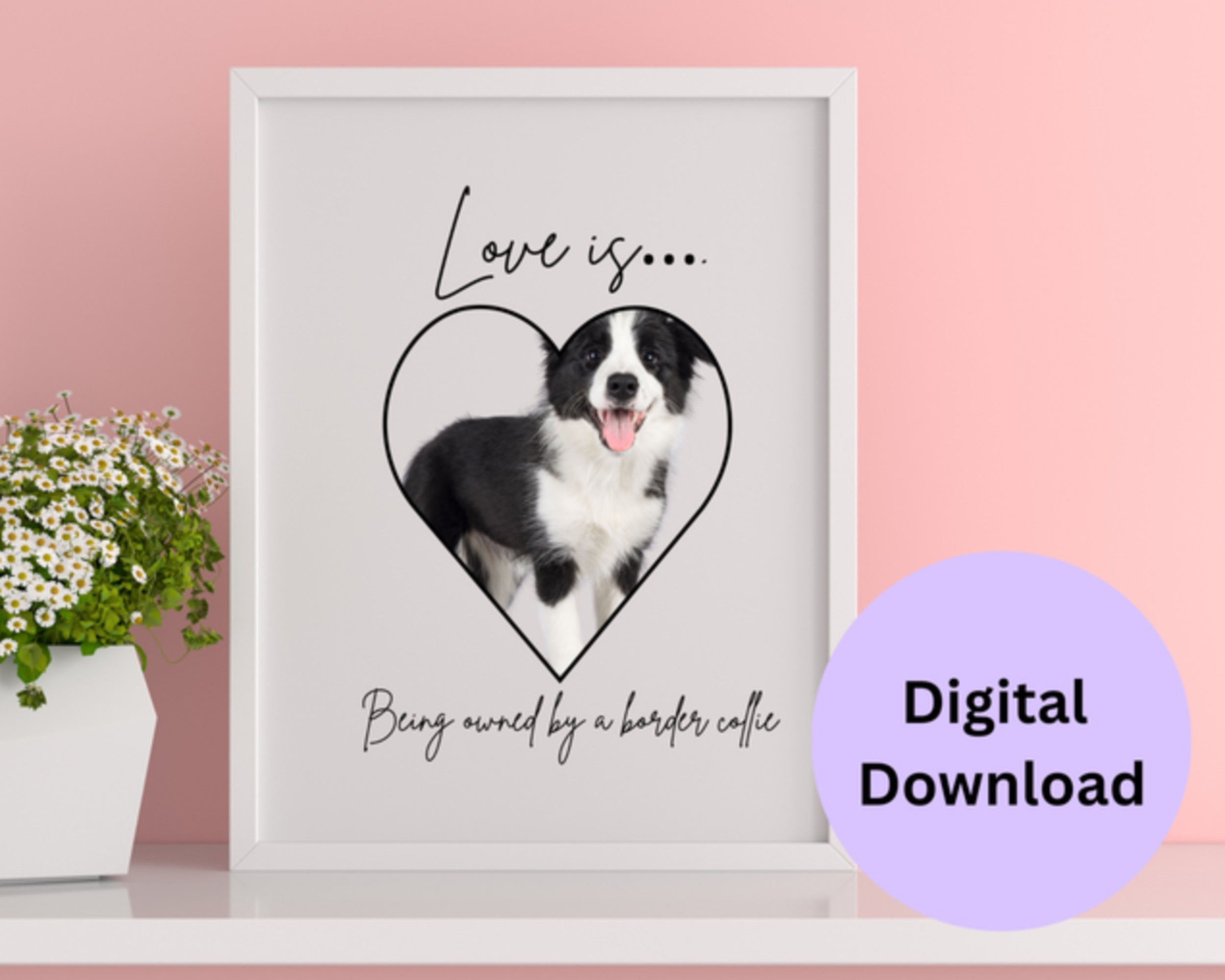 Collie Dog Print: 'Love Is'