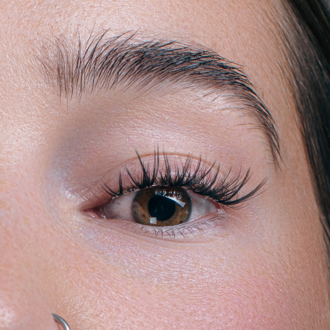 Lashier Lashes