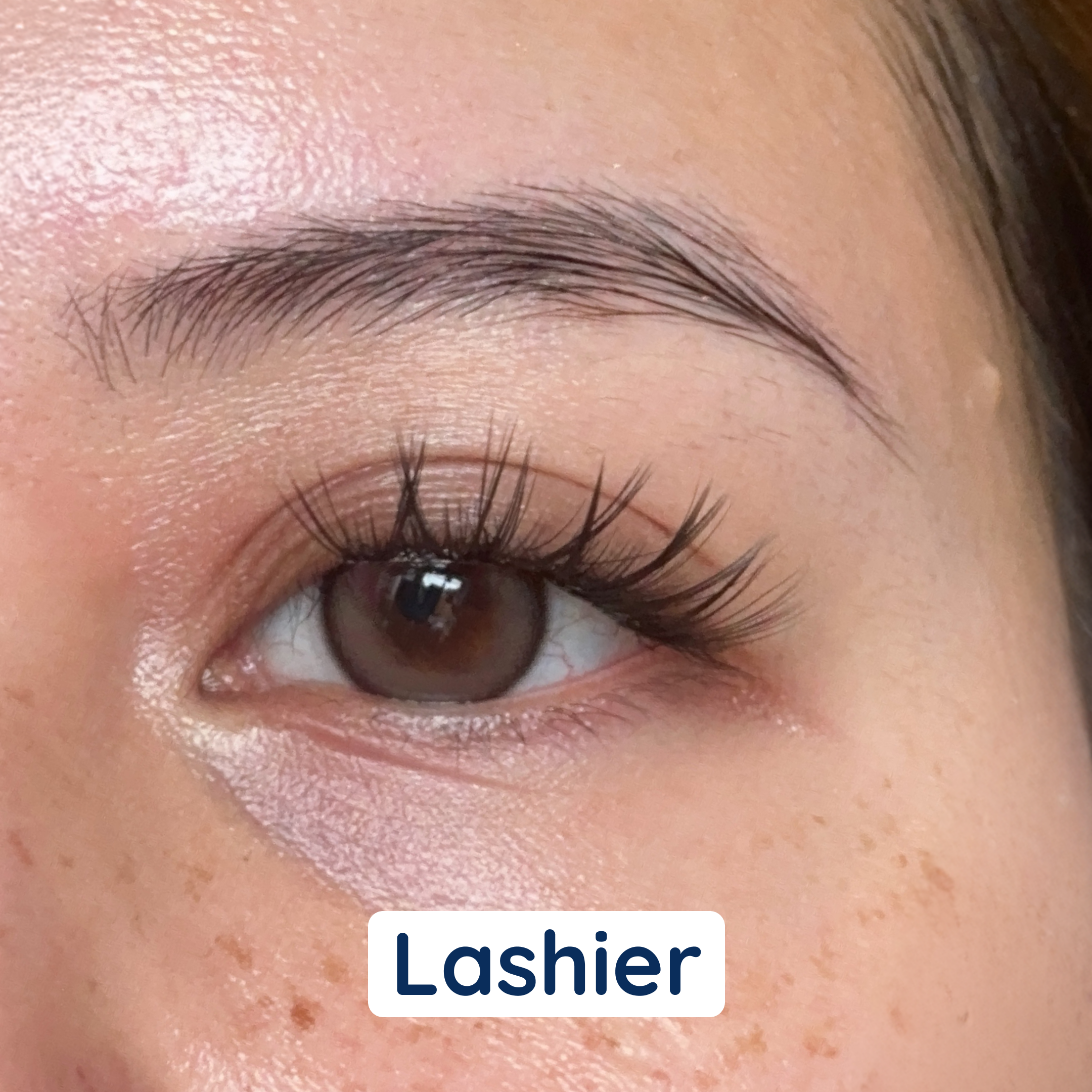 i:licious Lashes
