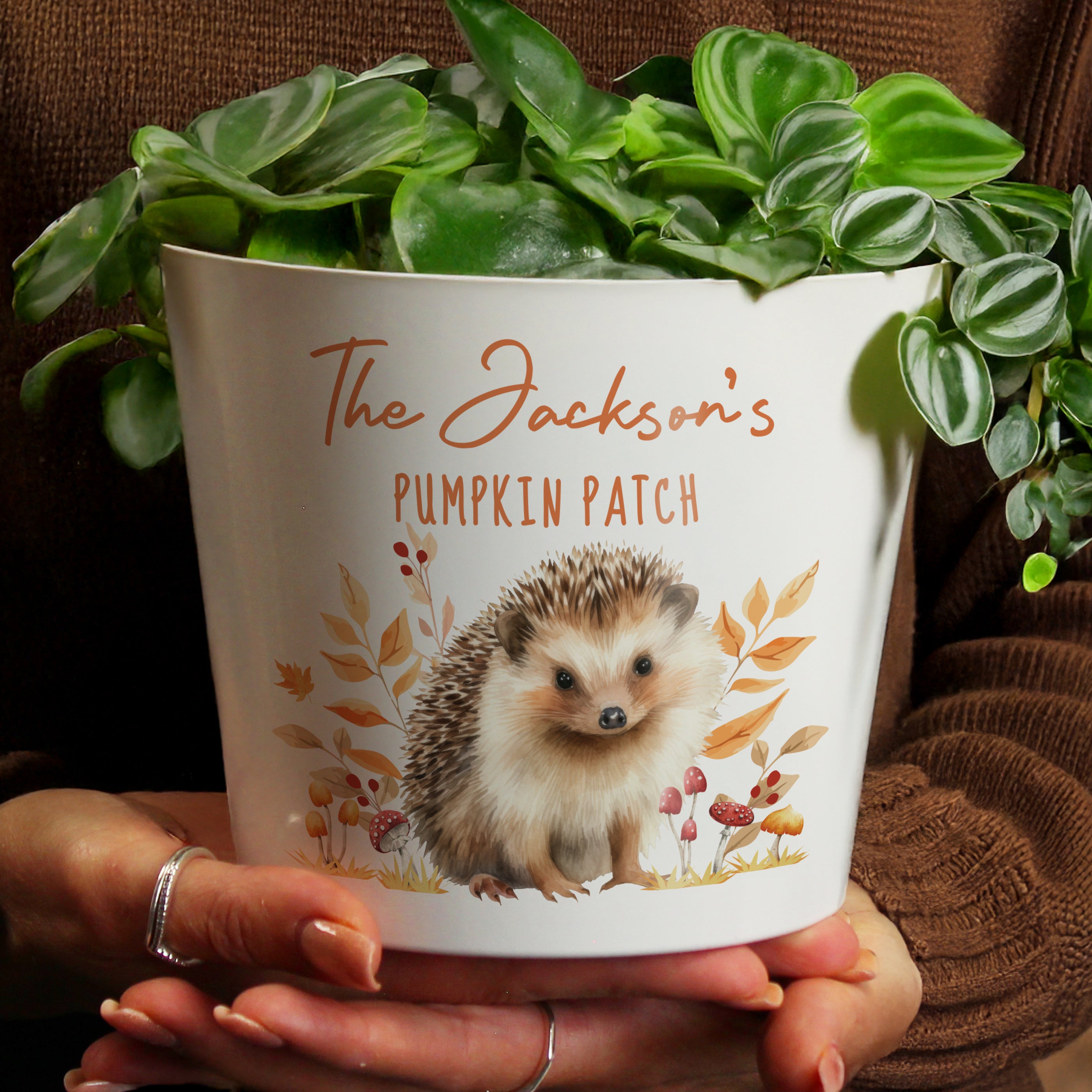 Personalised Hedgehog Large Plant Pot