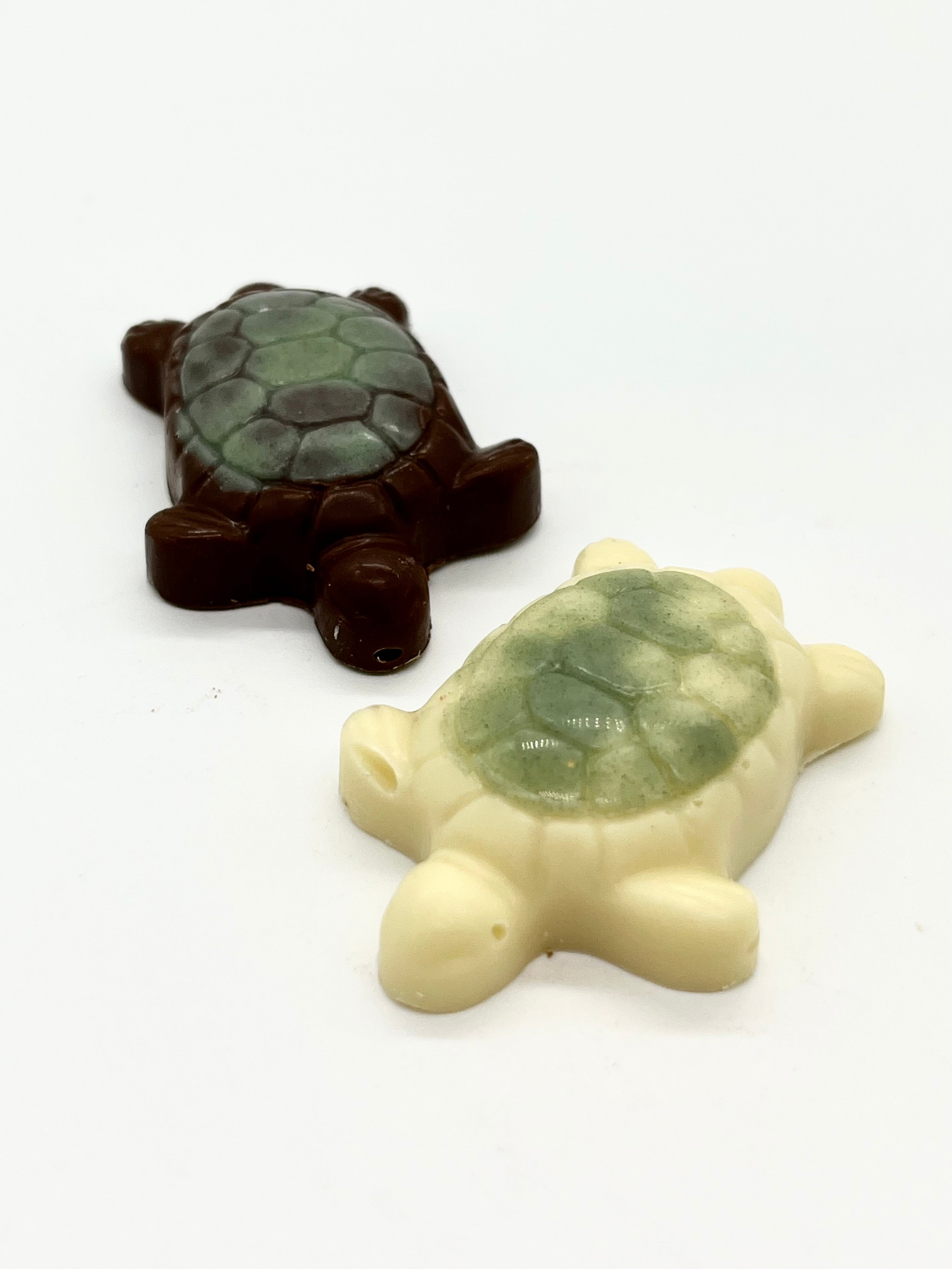 Turtles in Milk and White Chocolate