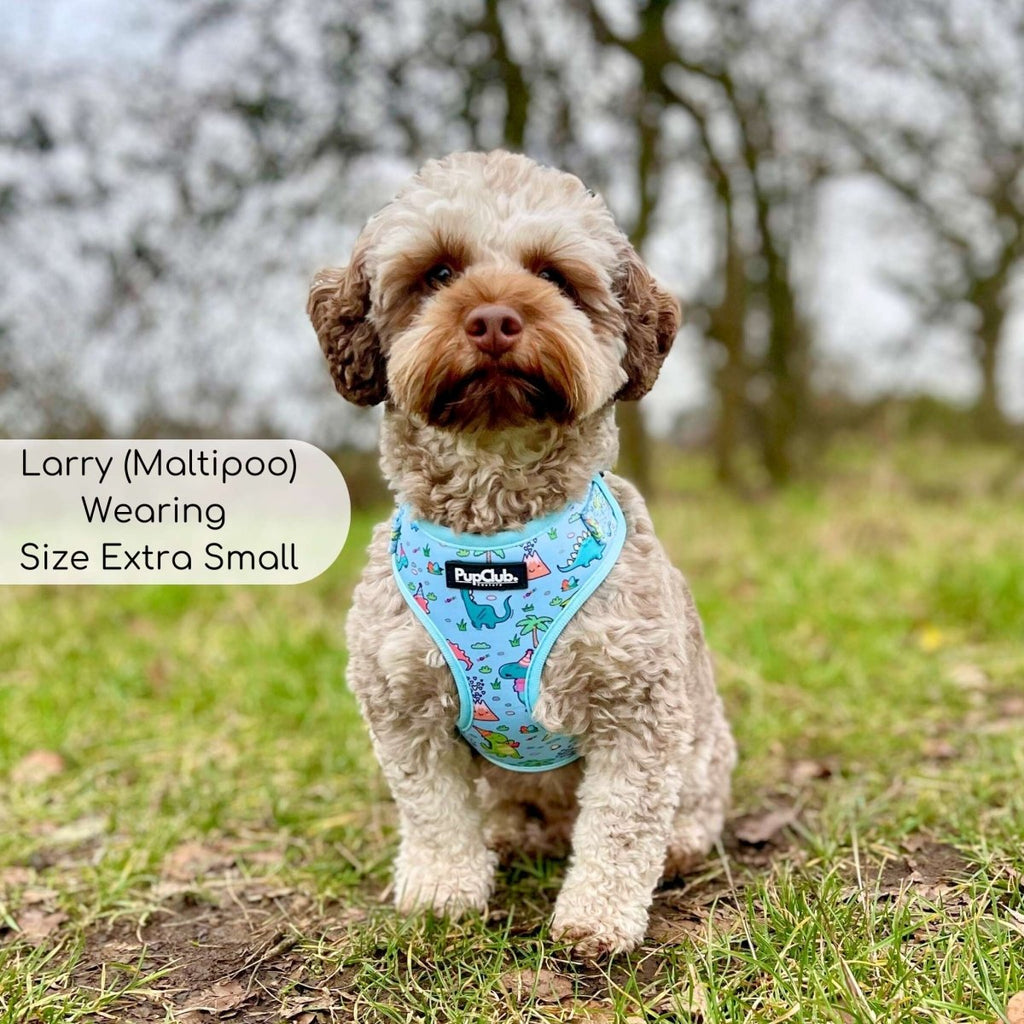 Adjustable Harness - Jurassic Party