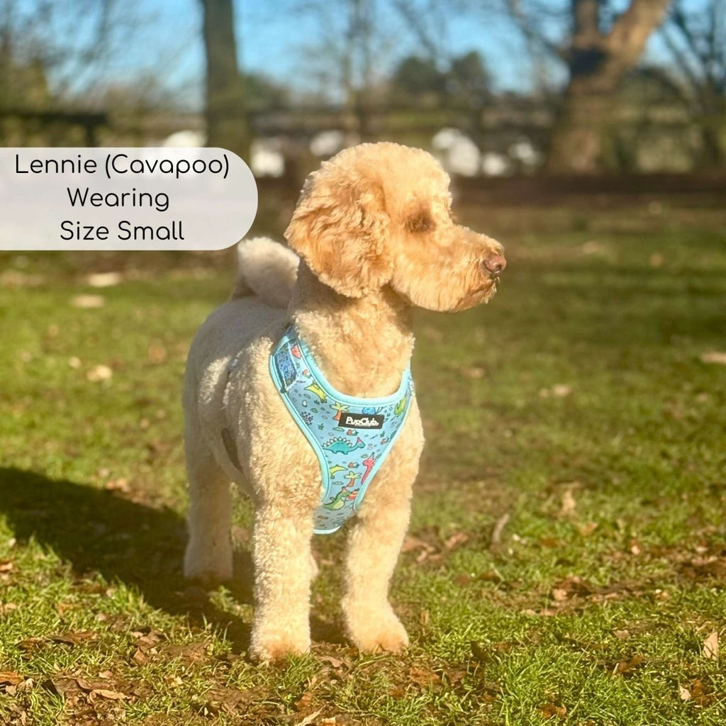 Adjustable Harness - Jurassic Party