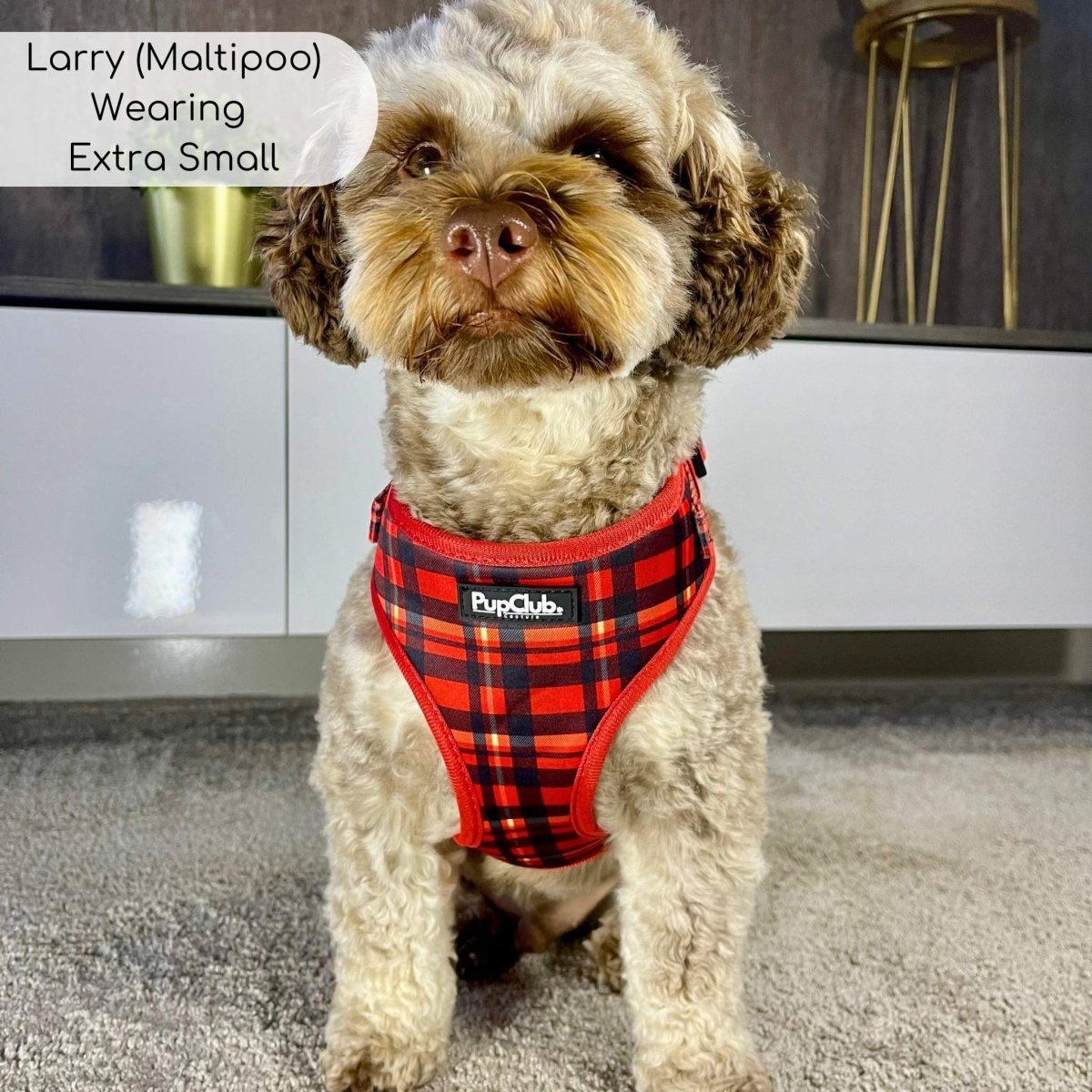 Adjustable Harness - Red Tartan