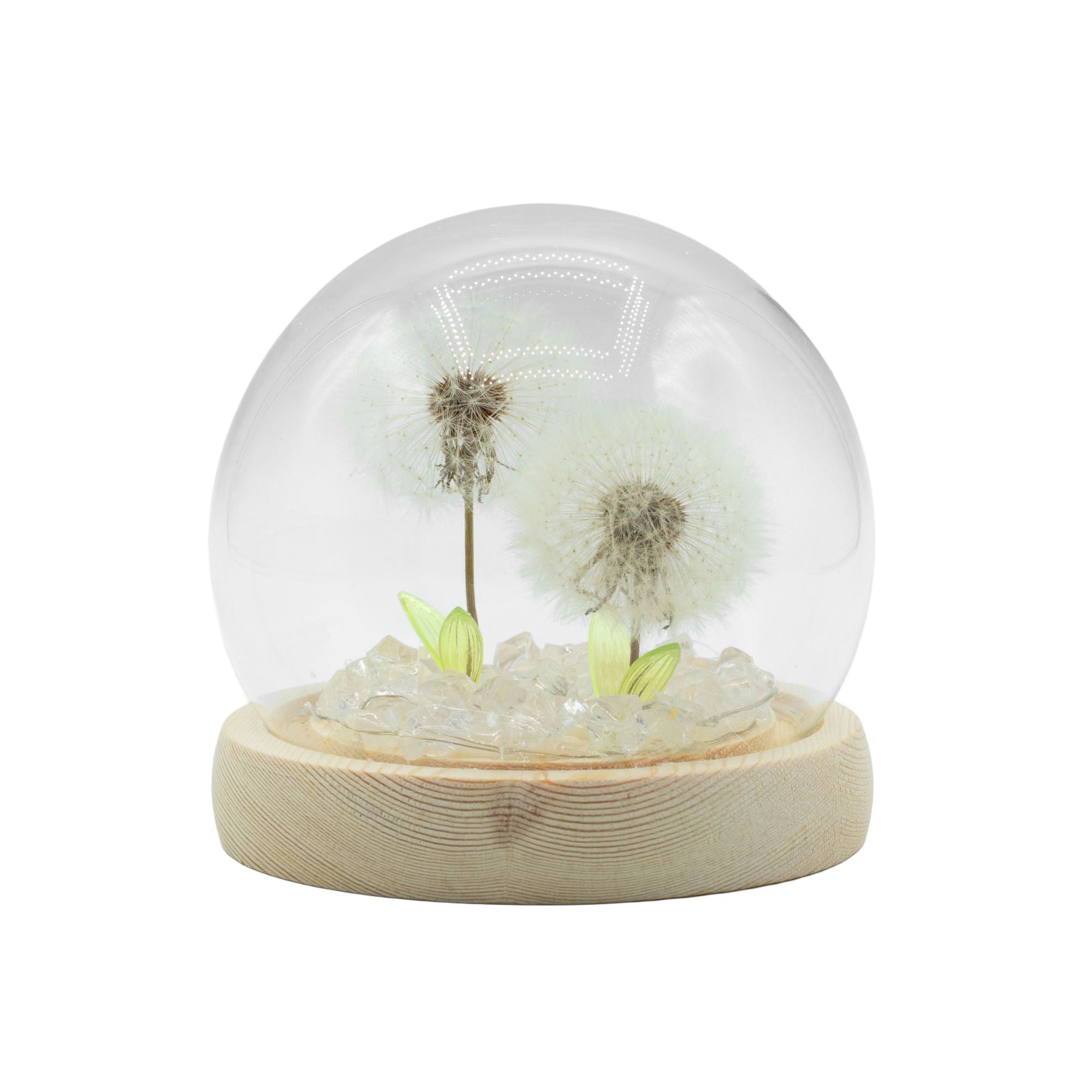 Floral Glow Garden Dome - 2 Dandelions - LED USB