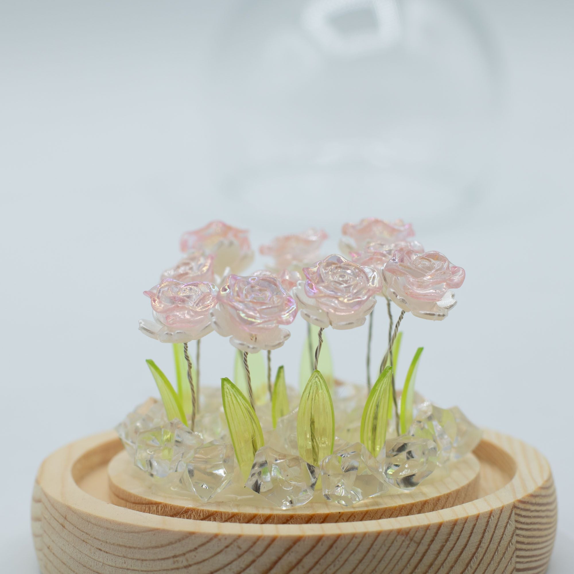 Floral Glow Garden Dome - 10 Pink Roses - LED USB