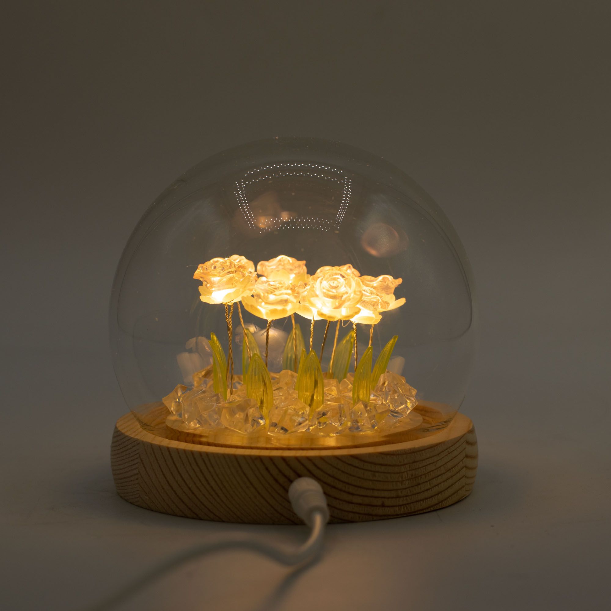 Floral Glow Garden Dome - 10 Pink Roses - LED USB