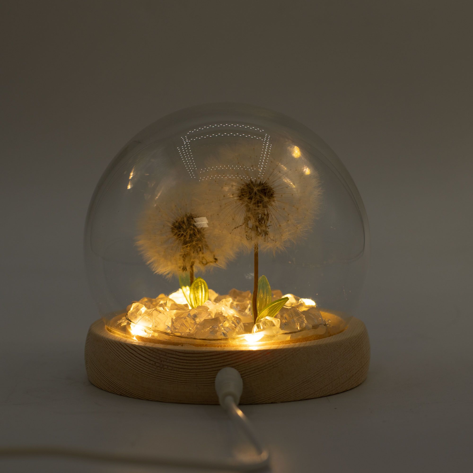 Floral Glow Garden Dome - 2 Dandelions - LED USB
