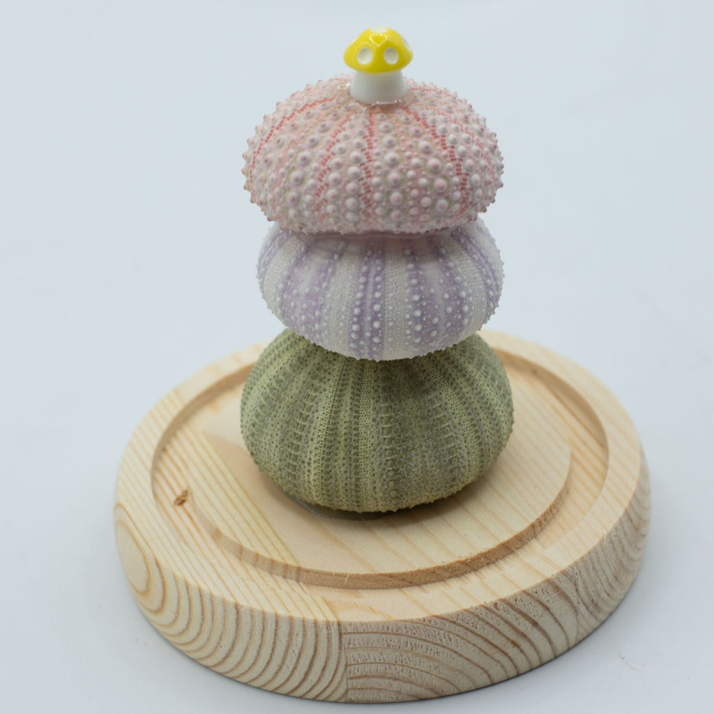 Floral Glow Garden Dome - 3 Sea Urchins - LED USB