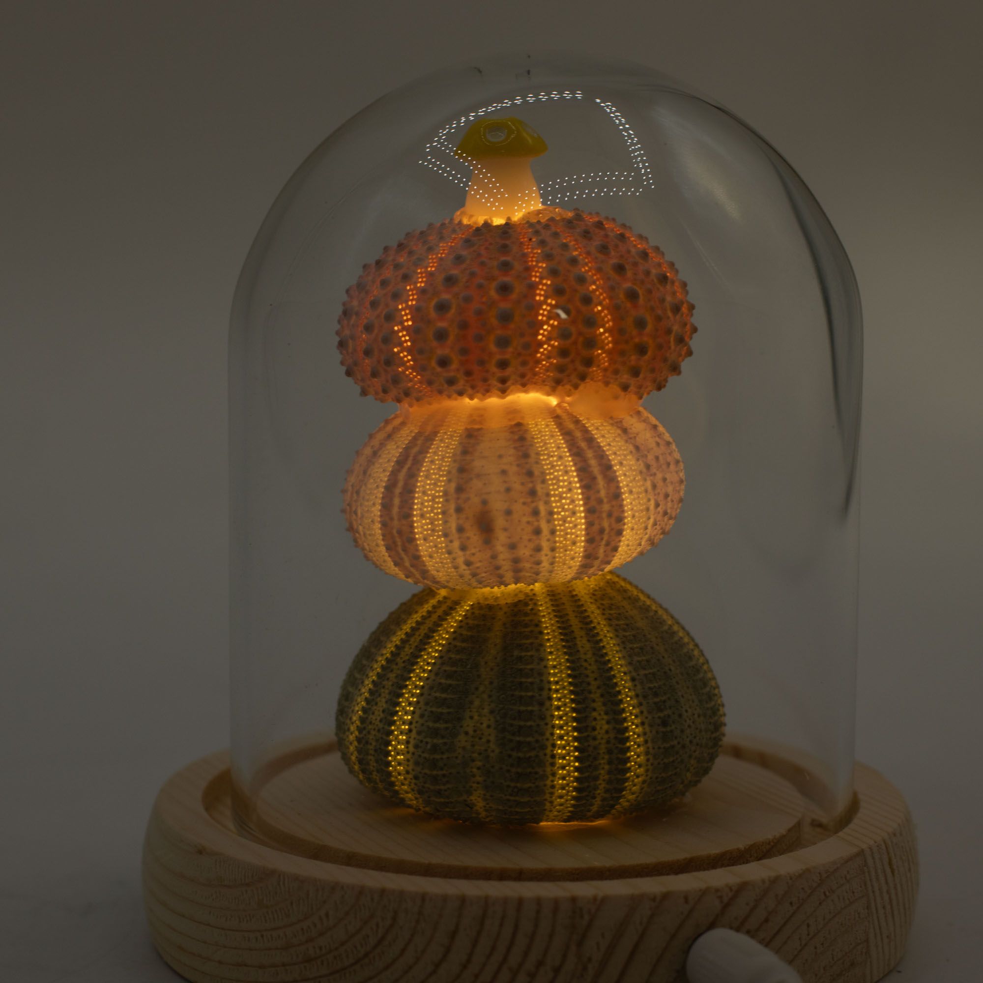 Floral Glow Garden Dome - 3 Sea Urchins - LED USB