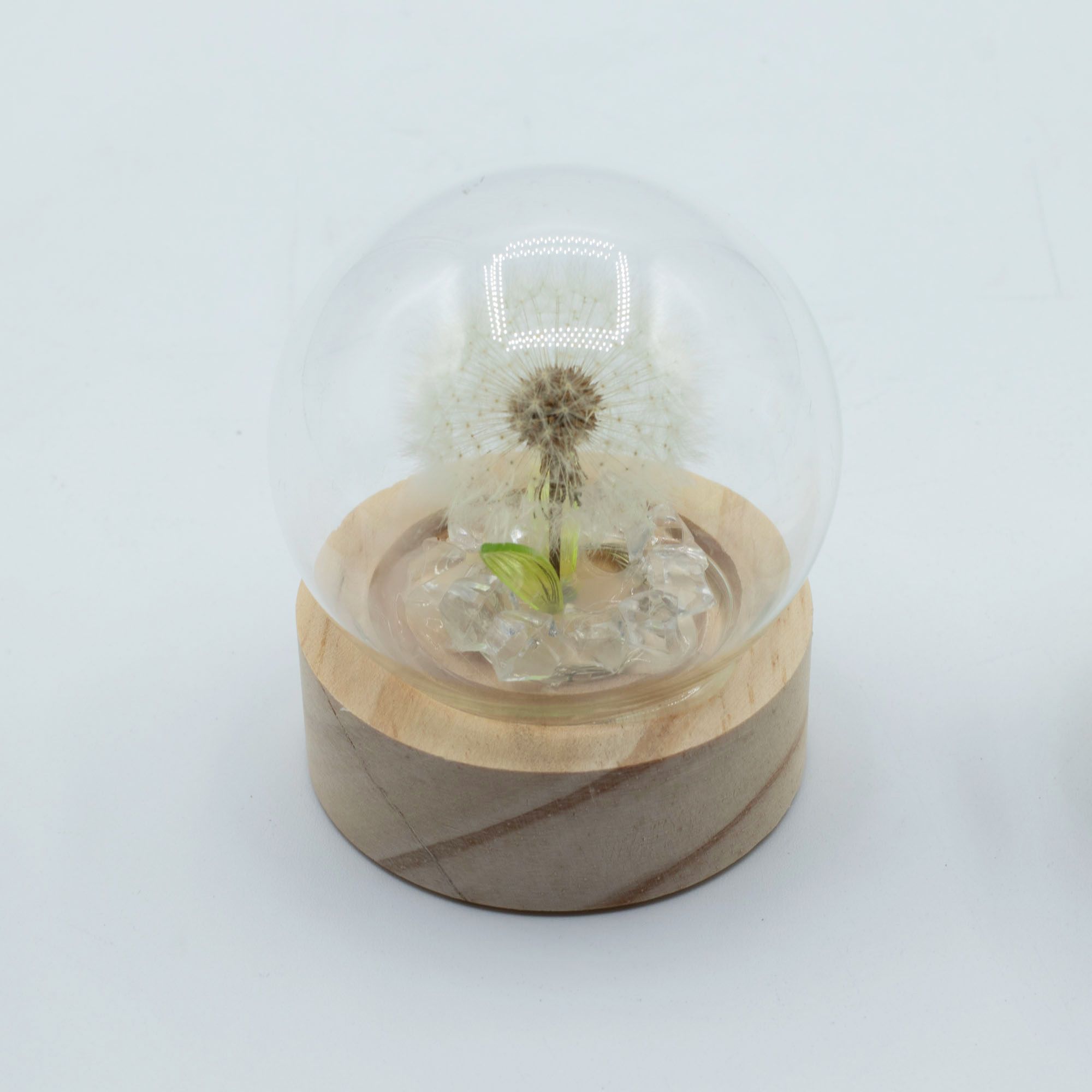 Floral Glow Garden Dome - 1 Dandilion- LED Battery