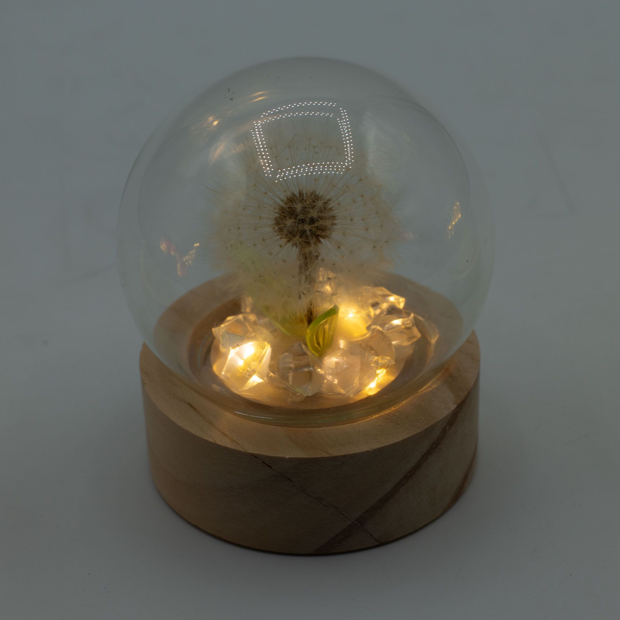 Floral Glow Garden Dome - 1 Dandilion- LED Battery