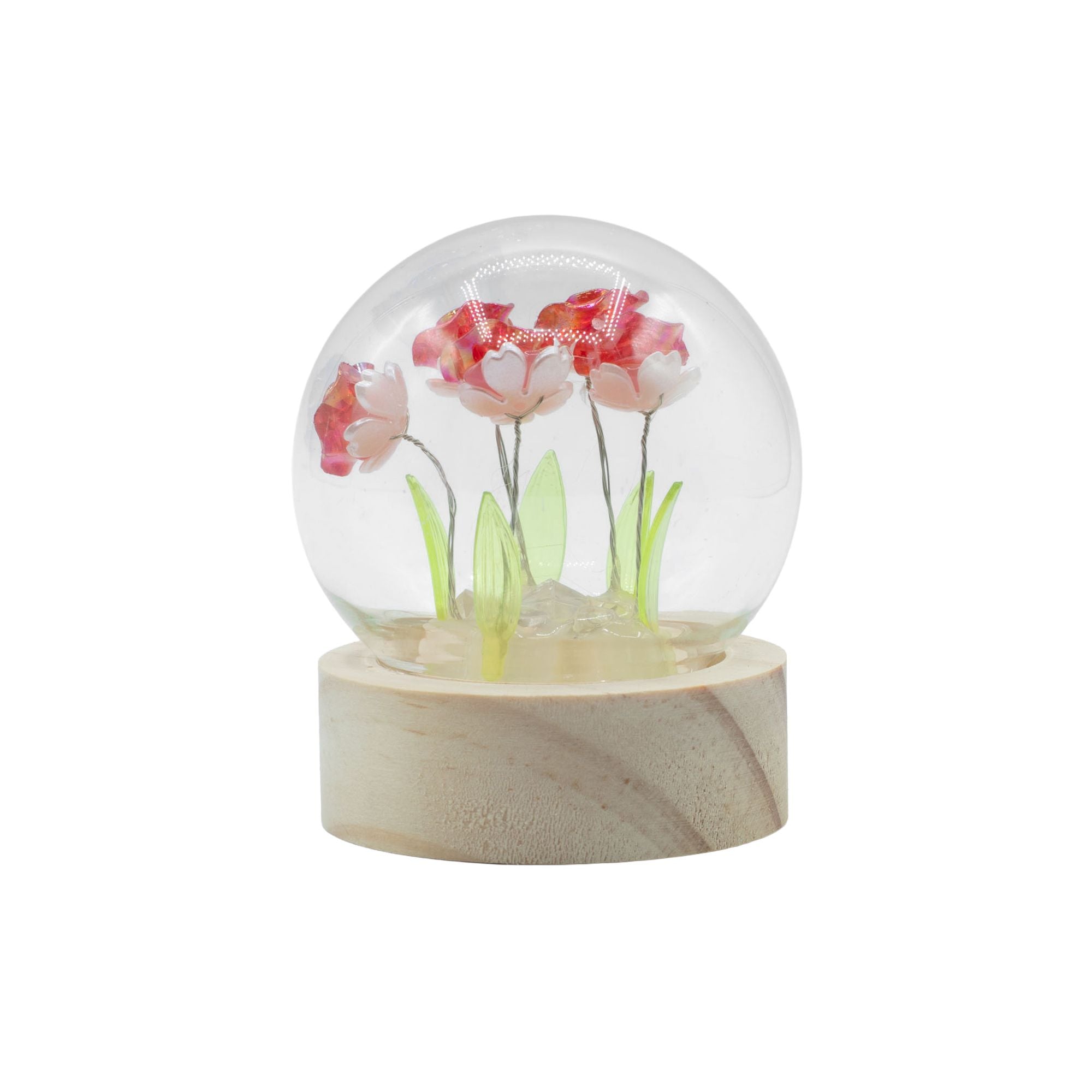 Floral Glow Garden Dome - 5 Red Roses - LED Battery
