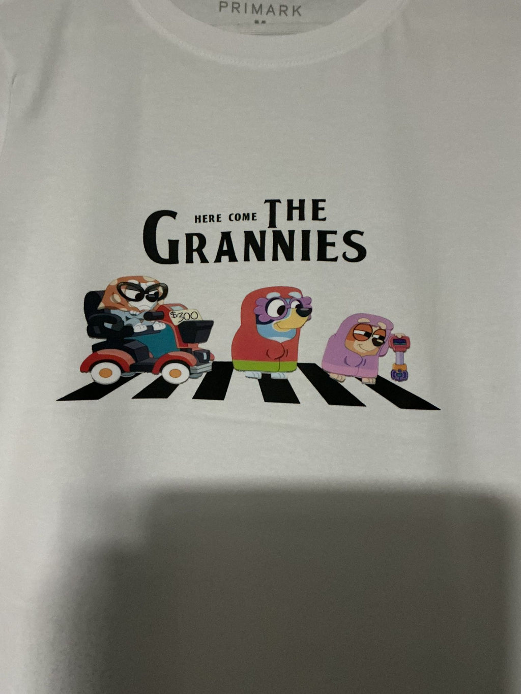Here Come the Grannies