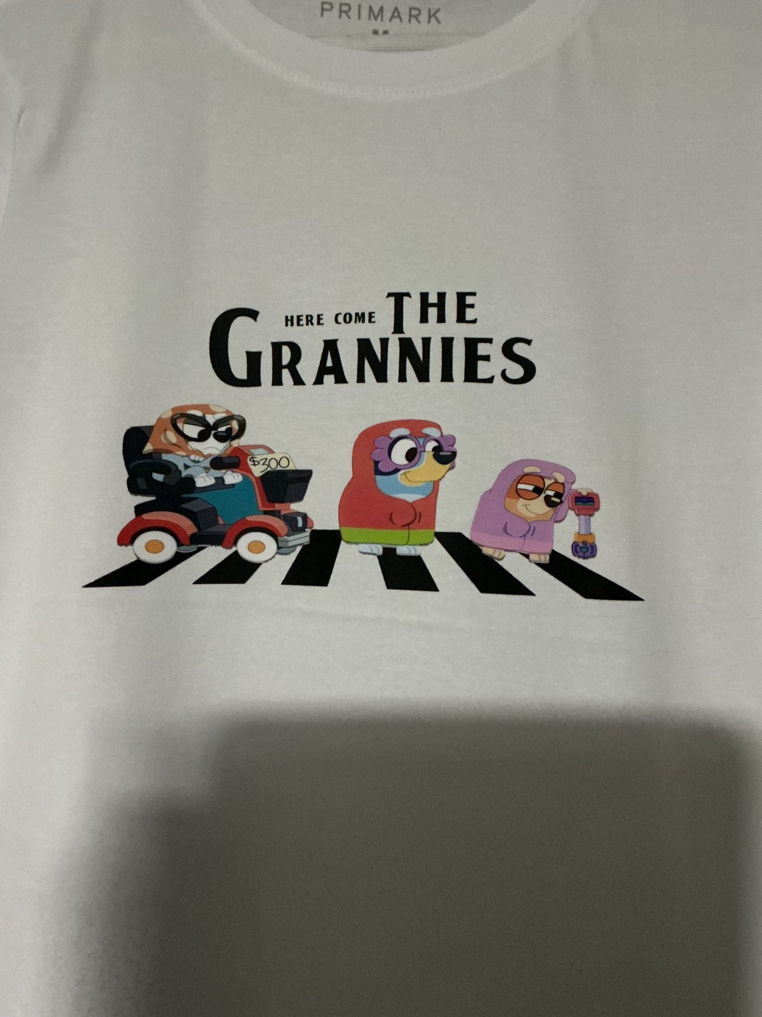 Here Come the Grannies